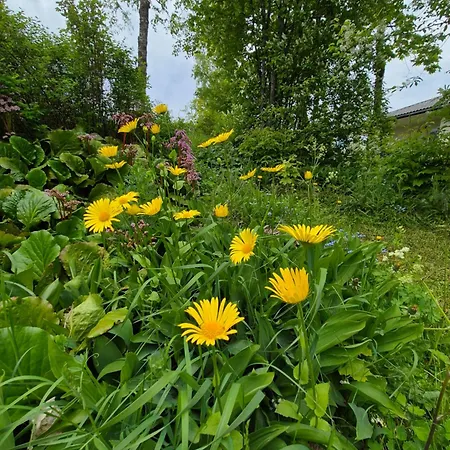 Nina - Cosy 3 Bedroom House In Calm Area With Garden Βίλα